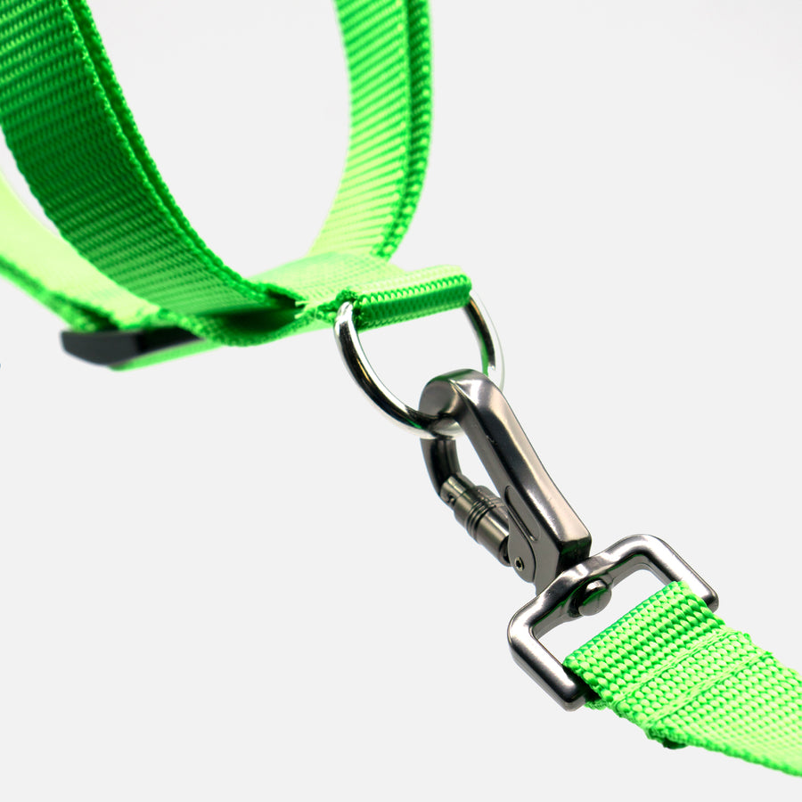 Dog Harness Green