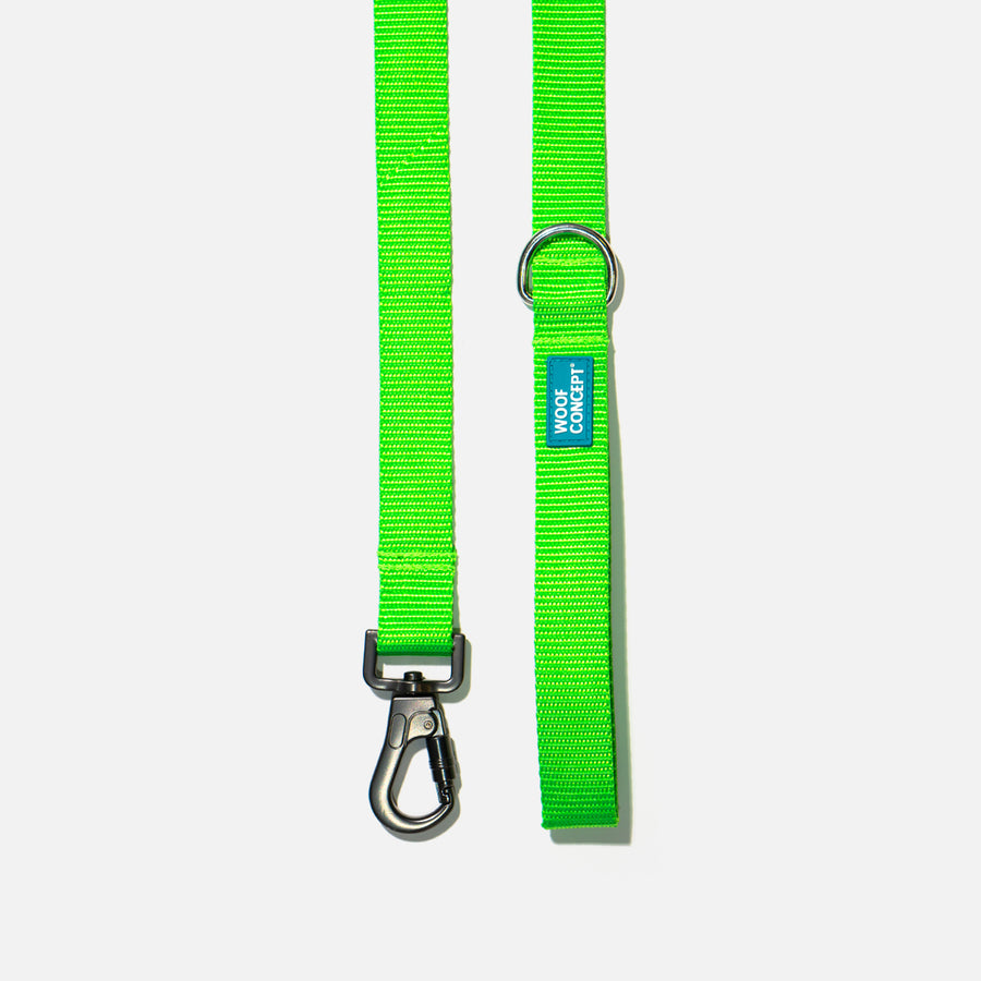 Dog Leash Green