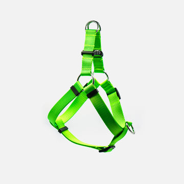 Dog Harness Green