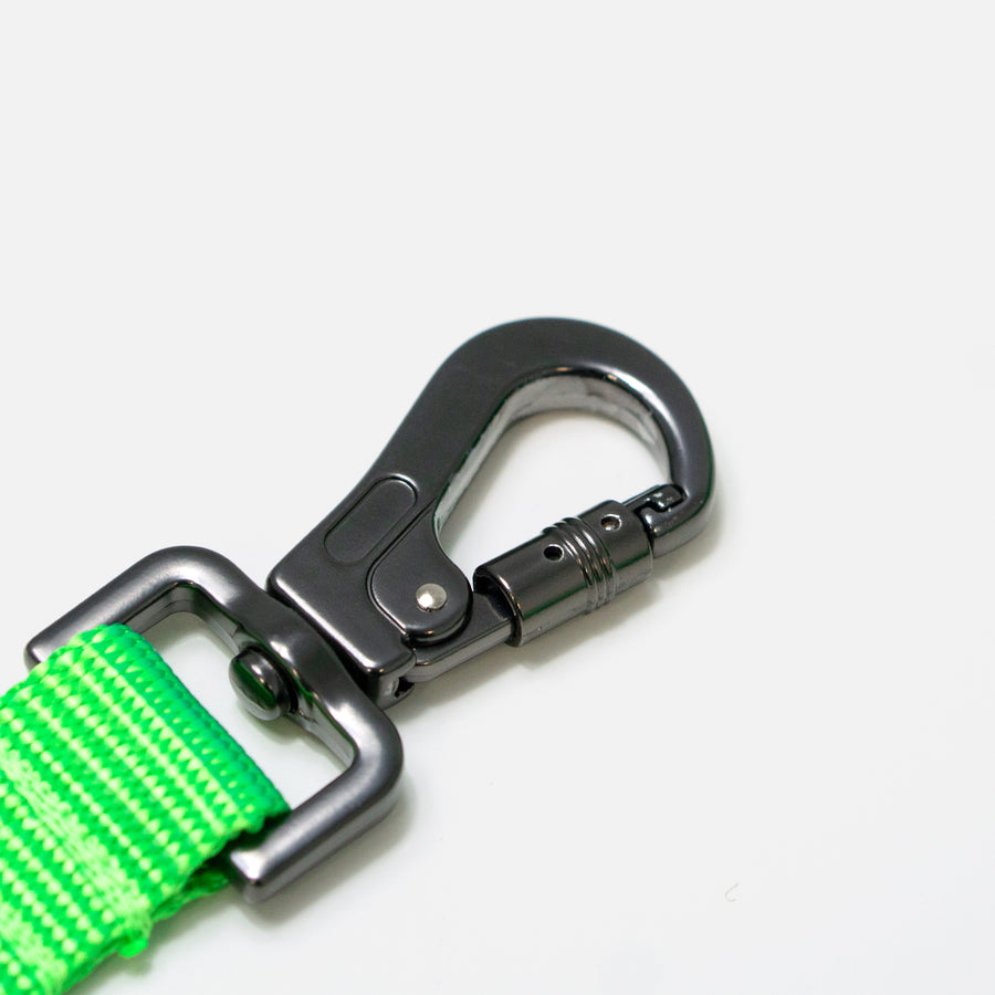 Dog Leash Green