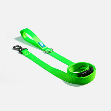 Dog Leash Green