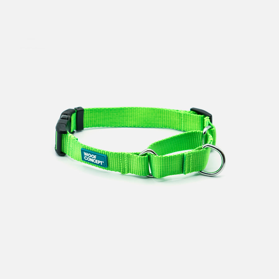 Dog Martingale Green