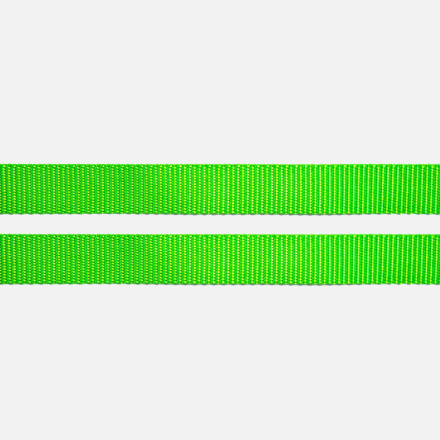 Dog Leash Green