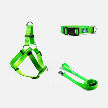 Dog Harness, Collar, Leash