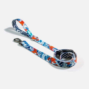 Dog Leash Blue