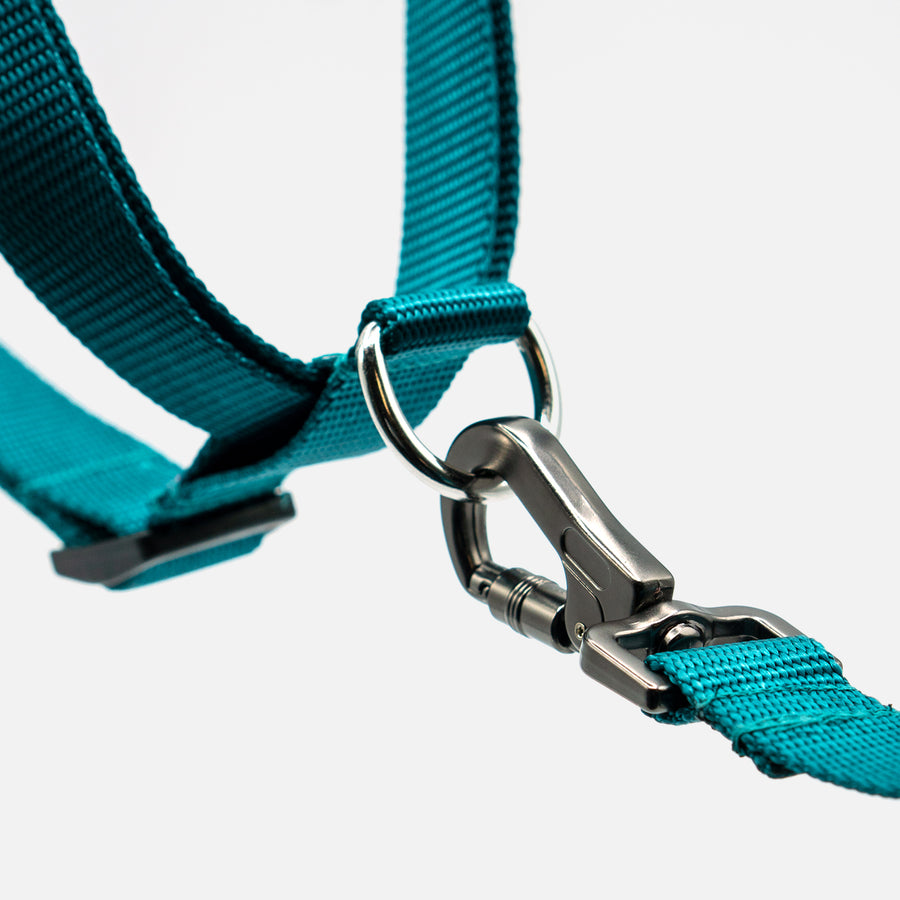 Dog Step In Harness Blue
