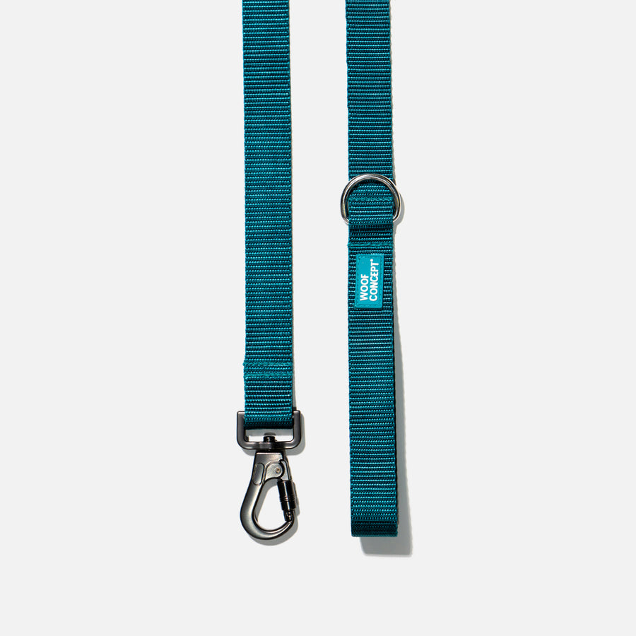 Dog Leash Blue