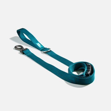 Dog Leash Blue