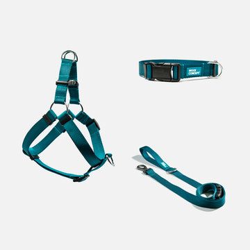 Dog Harness, Collar, Leash