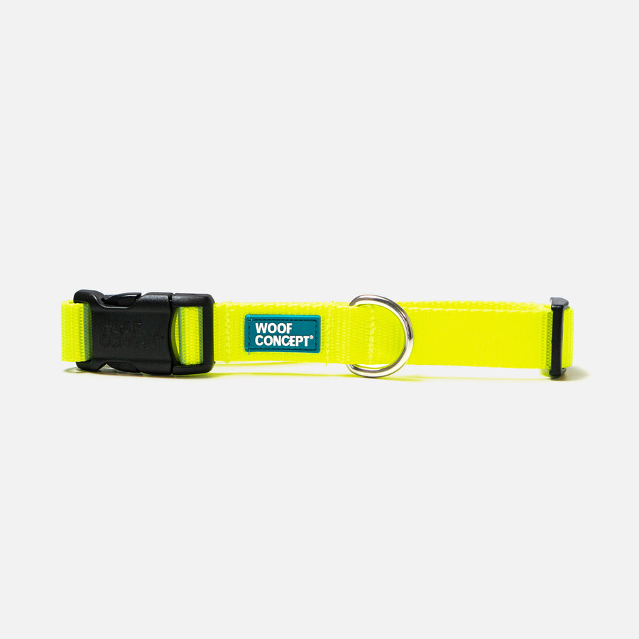 Dog Collar Yellow