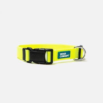 Dog Collar Yellow