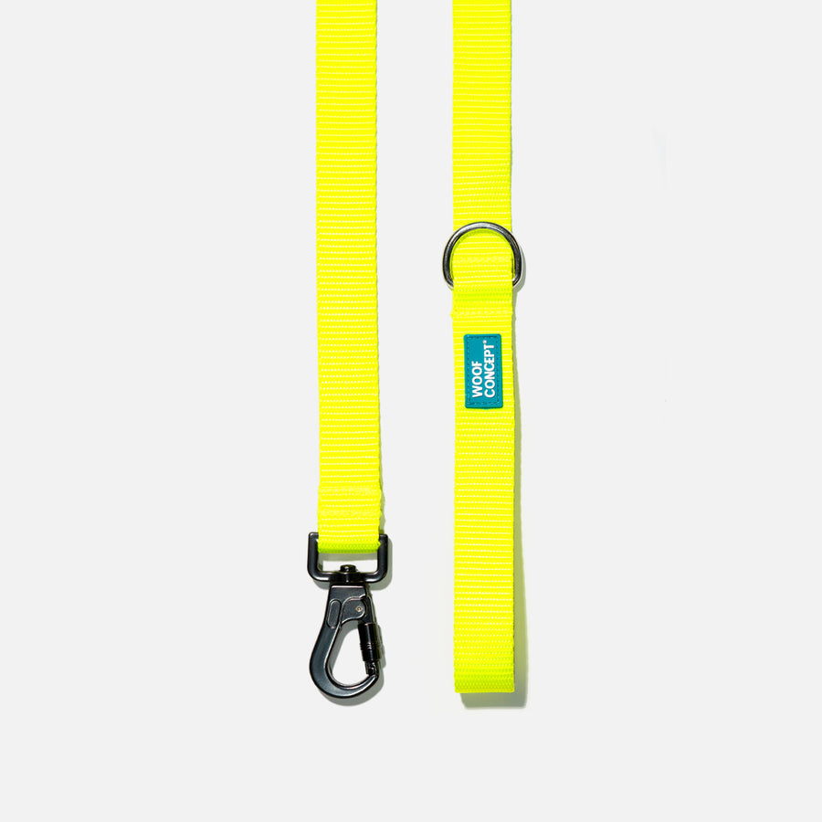 Dog Leash Yellow