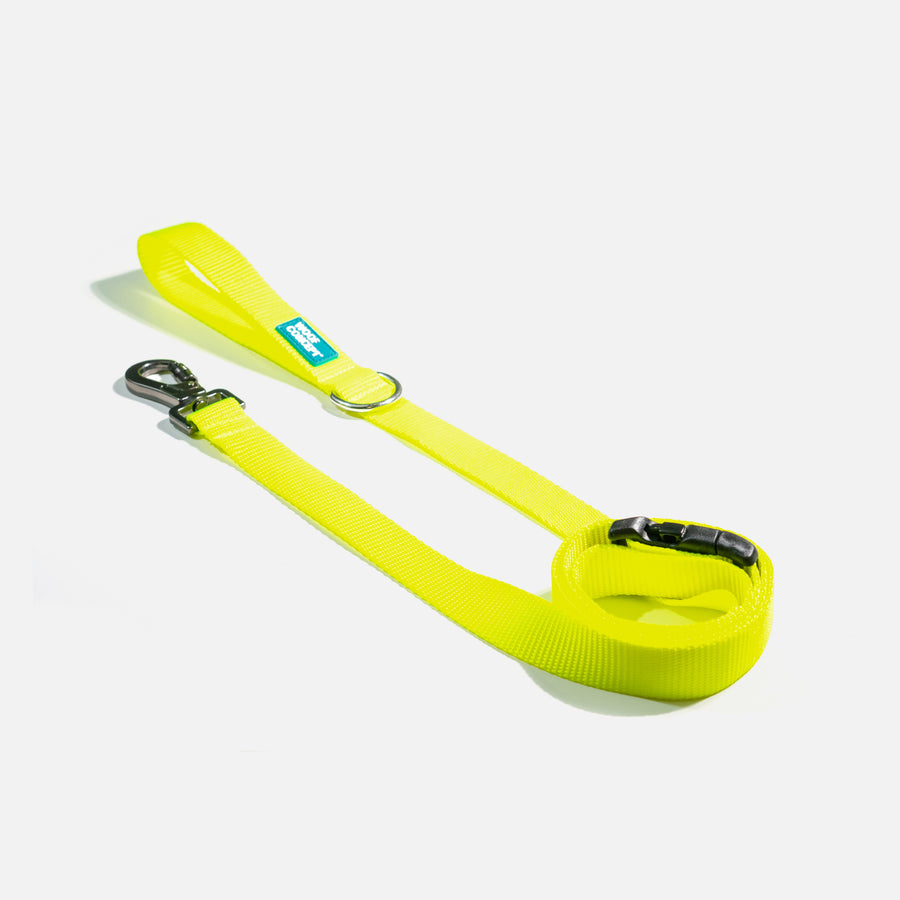 Dog Leash Yellow