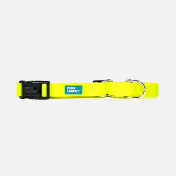 Dog Martingale Yellow