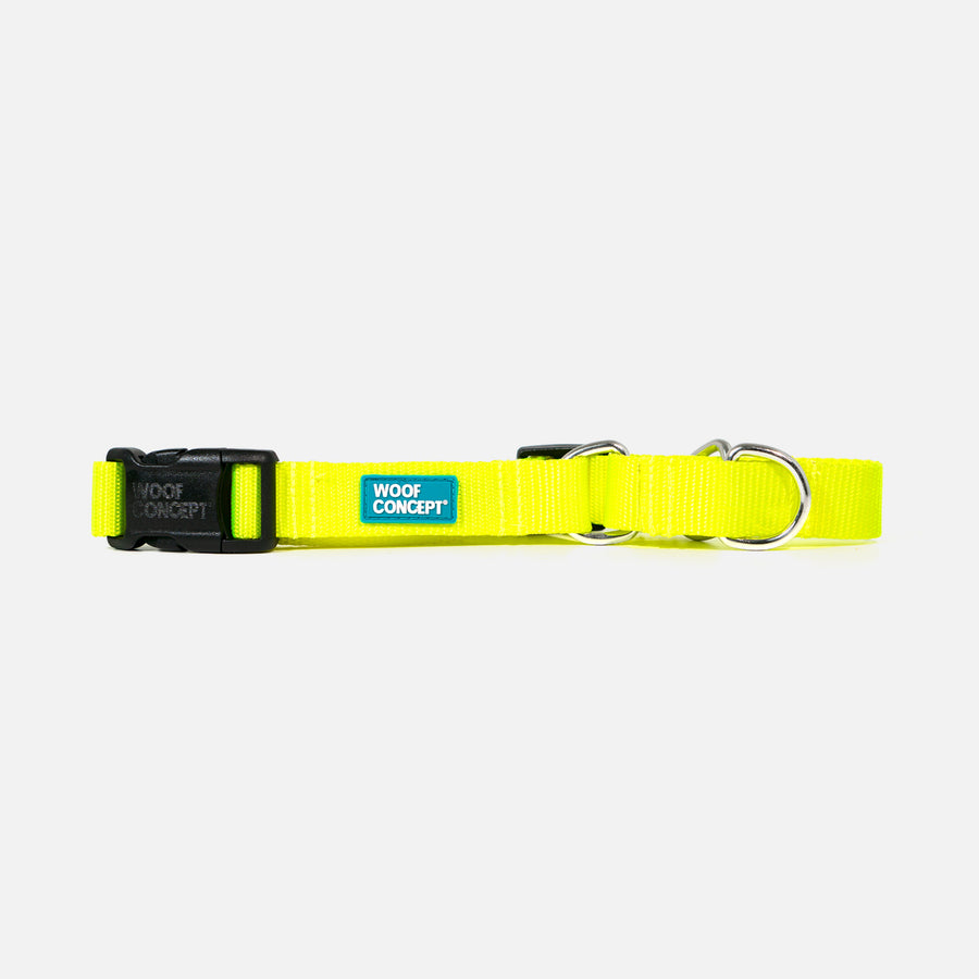 Dog Martingale Yellow