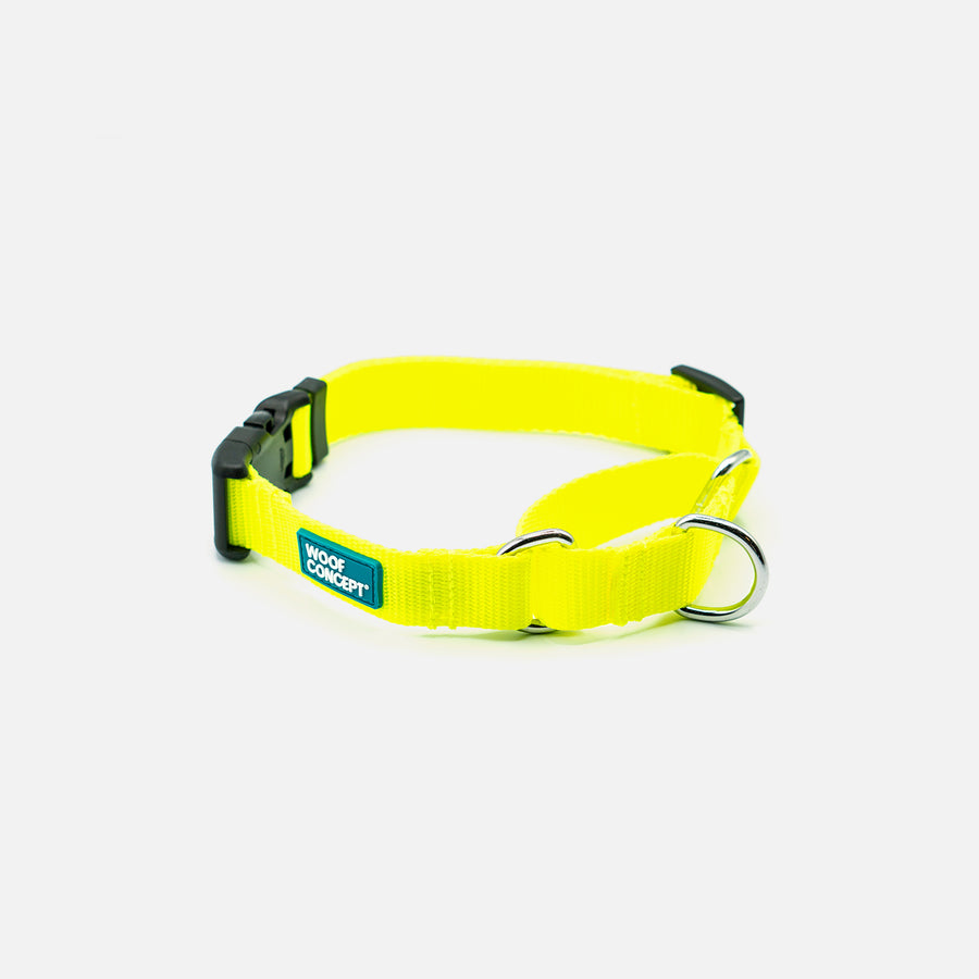 Dog Martingale Yellow