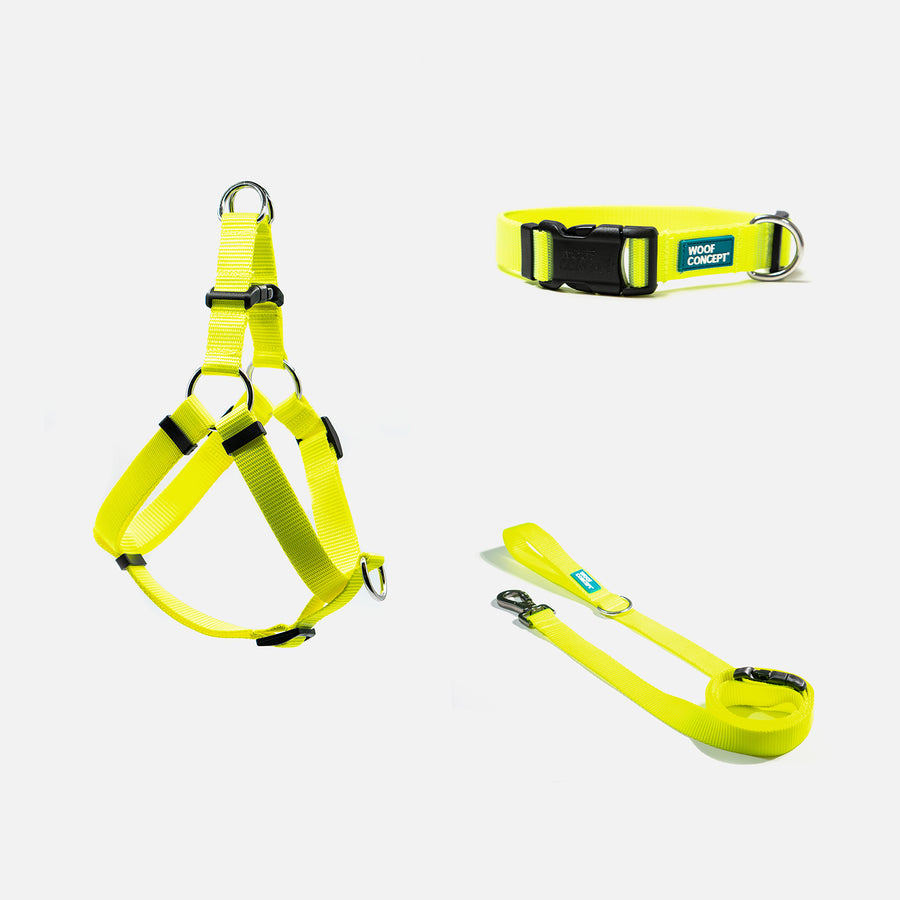 Dog Harness, Collar, Leash