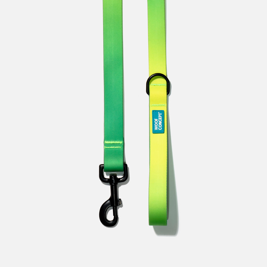 Waterproof Dog Leash Green