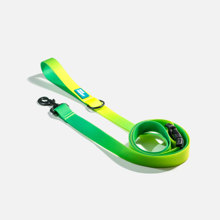 Waterproof Dog Leash Green