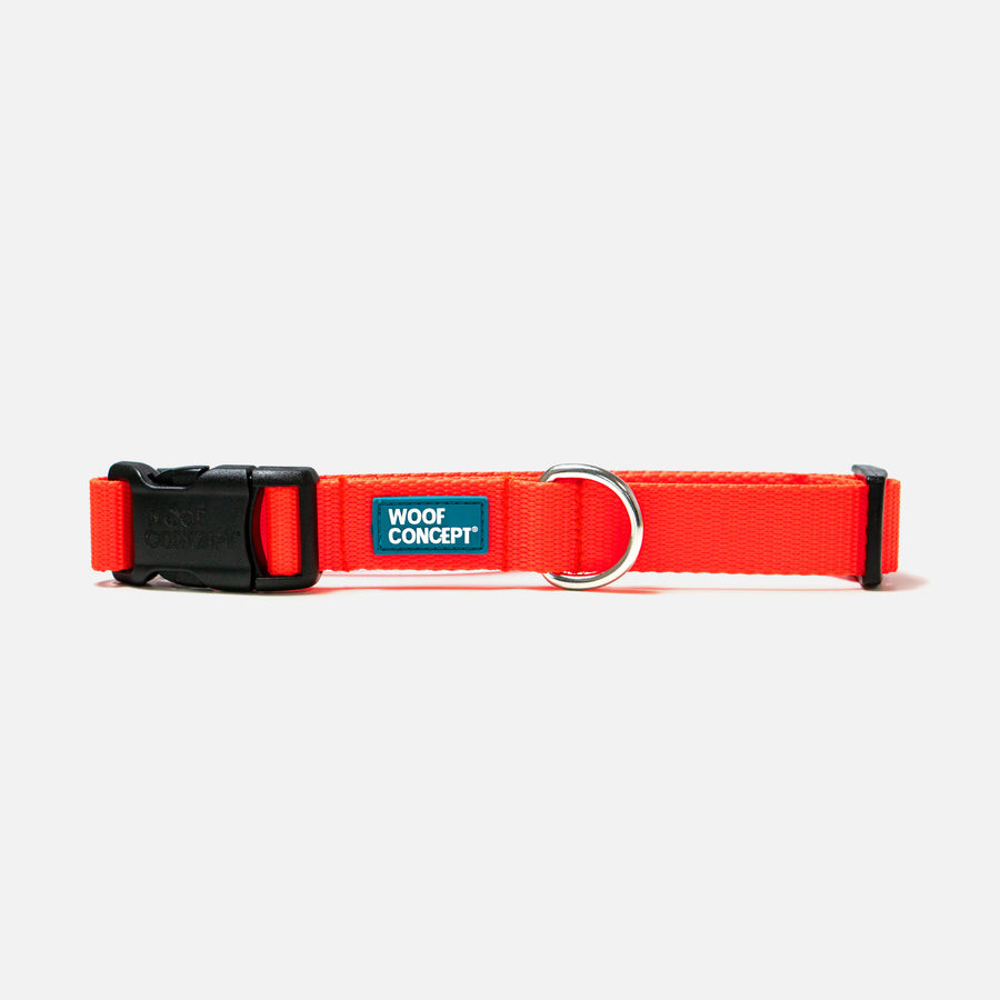 Dog Collar Orange