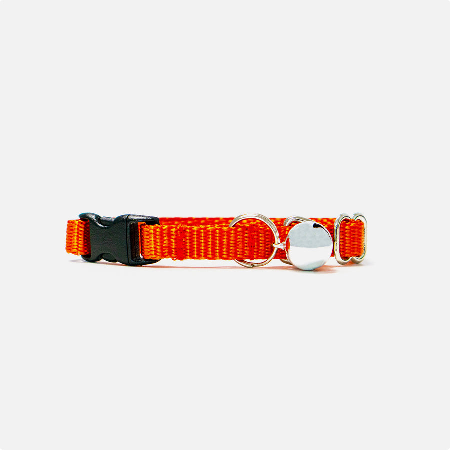 Cat Breakaway Collar Orange