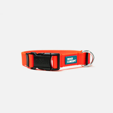 Dog Collar Orange