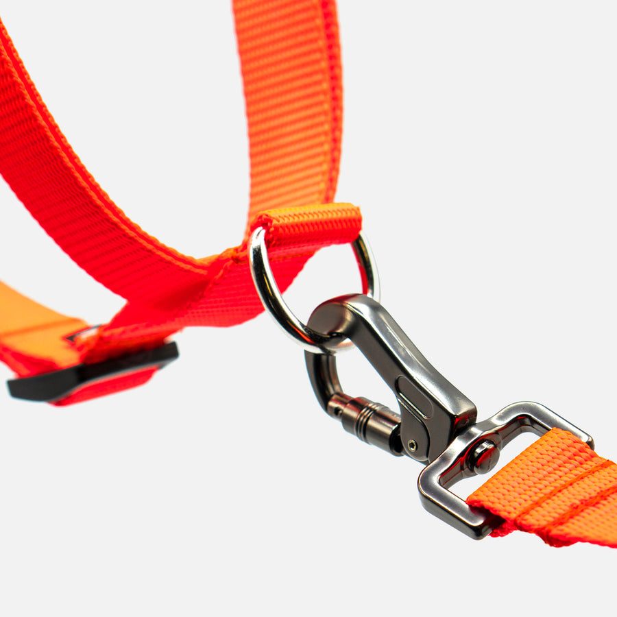 Dog Step In Harness Orange