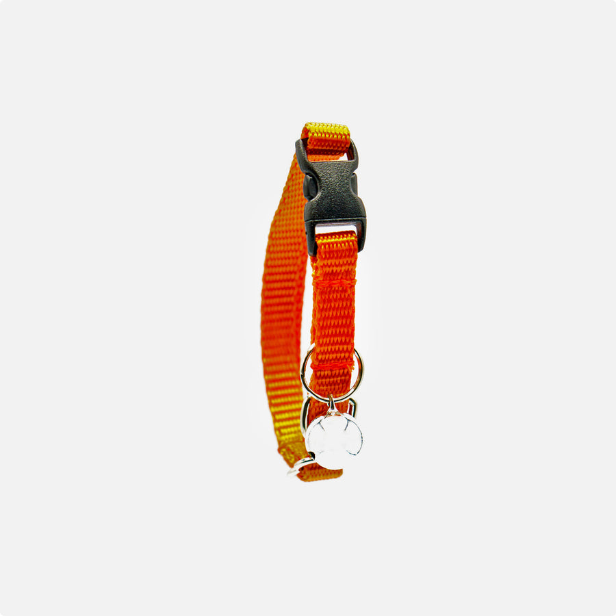 Cat Breakaway Collar Orange