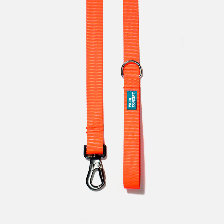 Dog Leash Orange