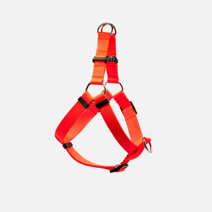 Dog Step In Harness Orange