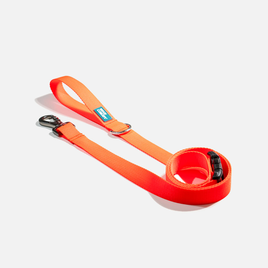 Dog Leash Orange