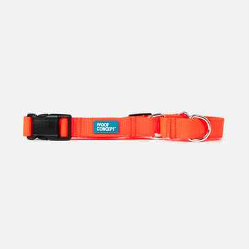 Dog Martingale Orange