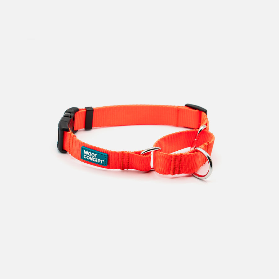 Dog Martingale Orange