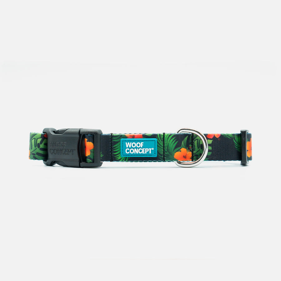 Dog Collar Green