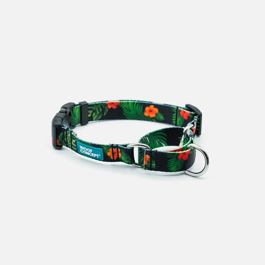 Dog Martingale Green