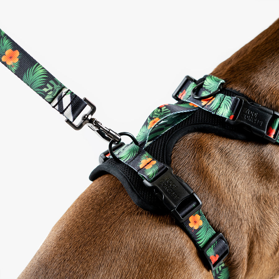 Dog Mesh Harness Green