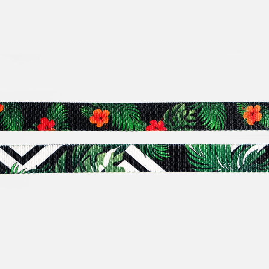 Dog Collar Green