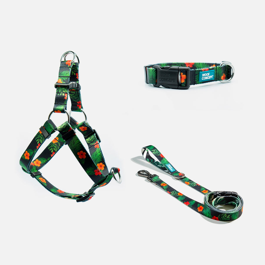 Dog Harness, Collar, Leash