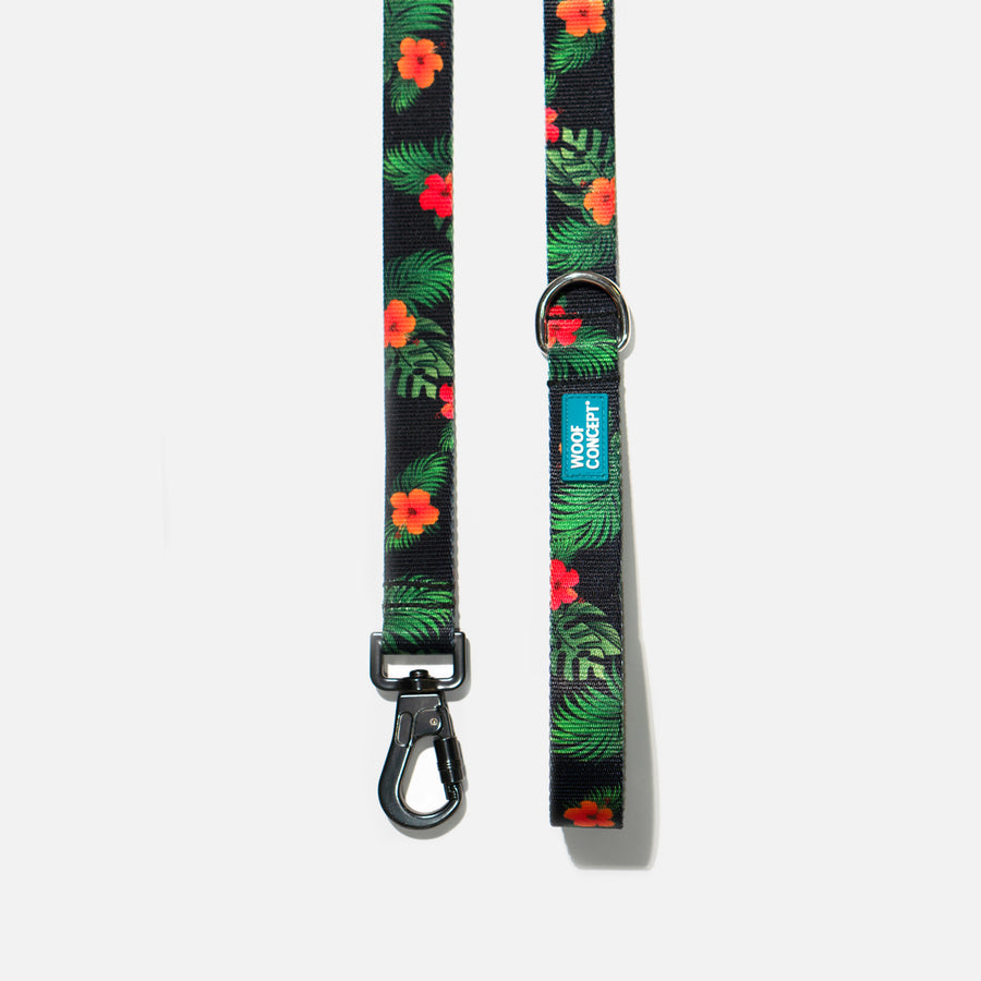 Maui 2 | Dog Leash