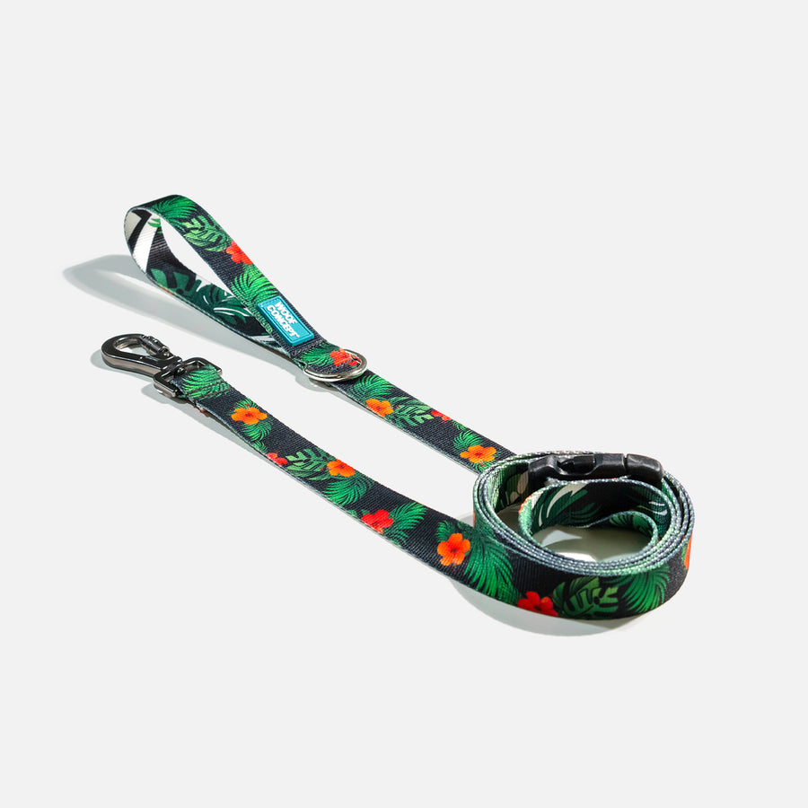 Maui 2 | Dog Leash