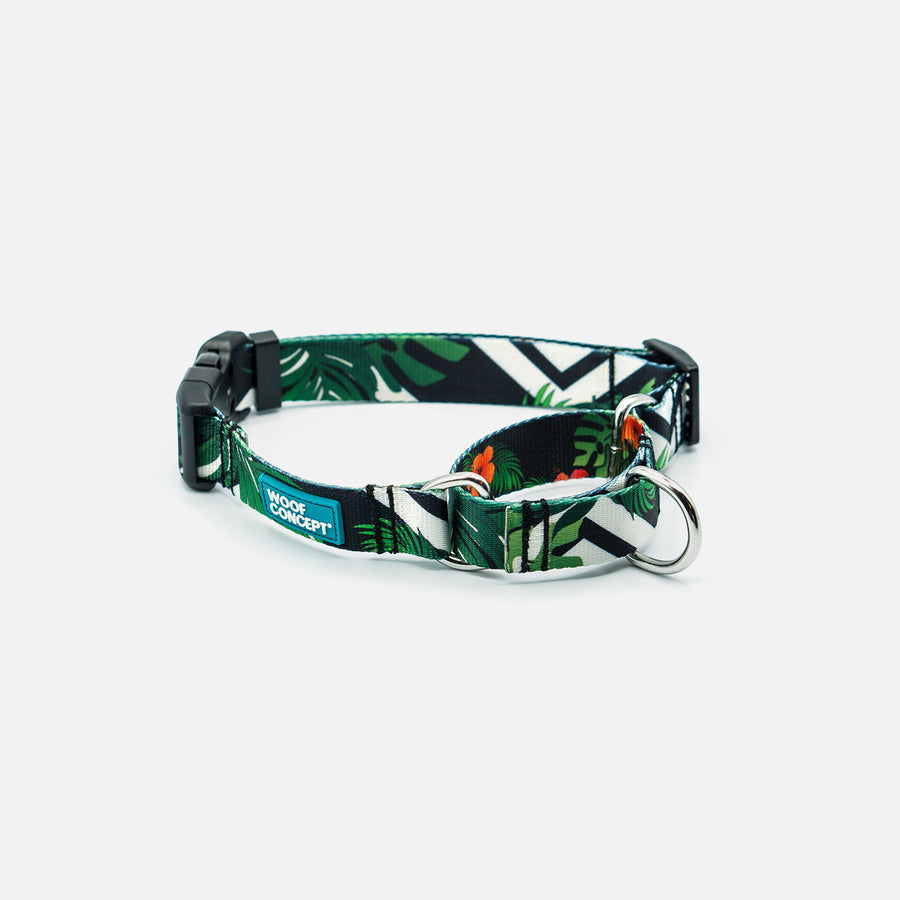 Dog Martingale Green