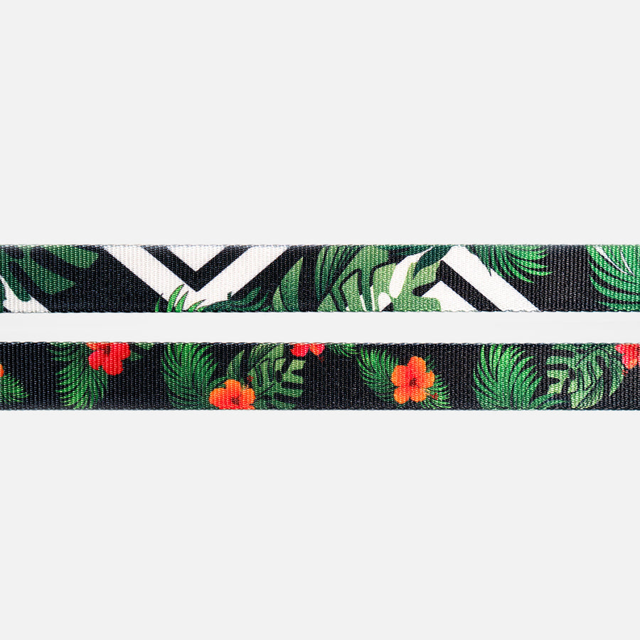 Dog Collar Green