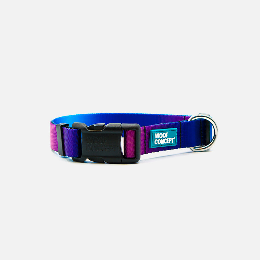 Dog Collar Purple