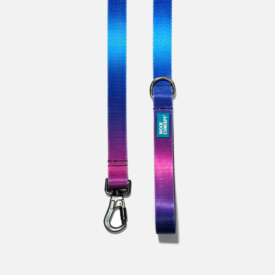 Dog Leash Purple