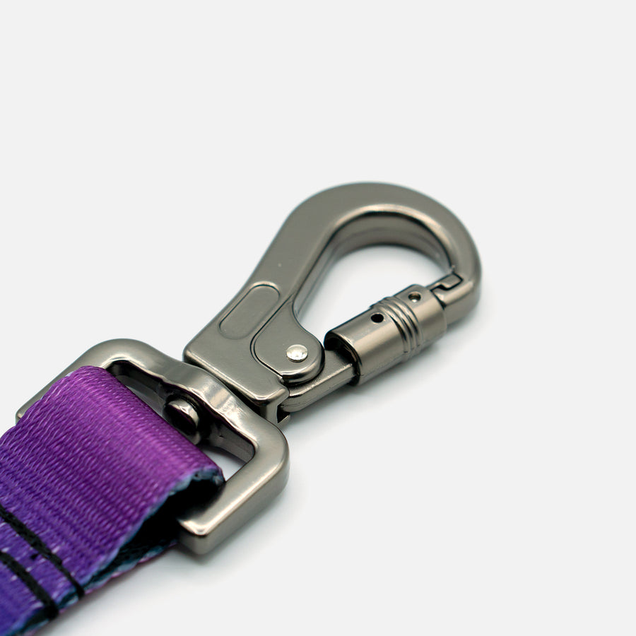 Dog Leash Purple