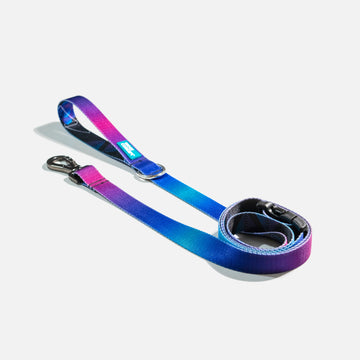 Dog Leash Purple