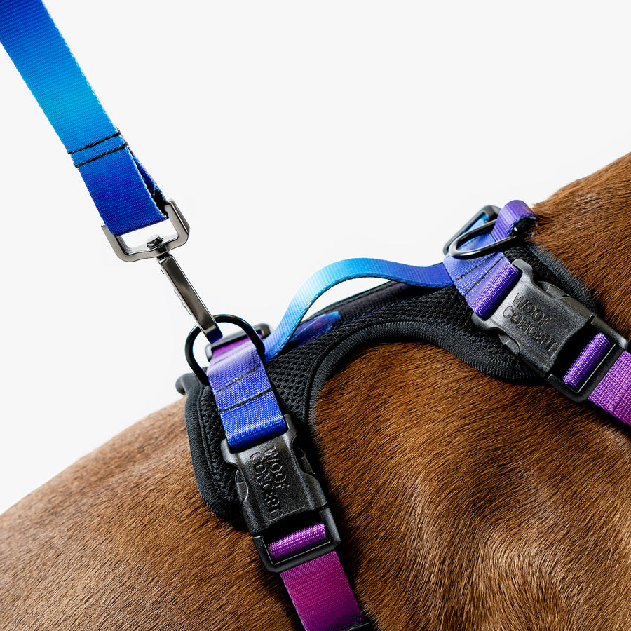 Mesh harness clearance