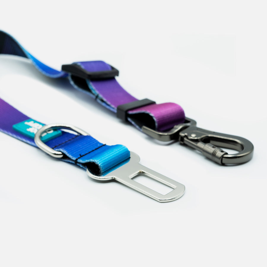 Dog Seatbelt Purple