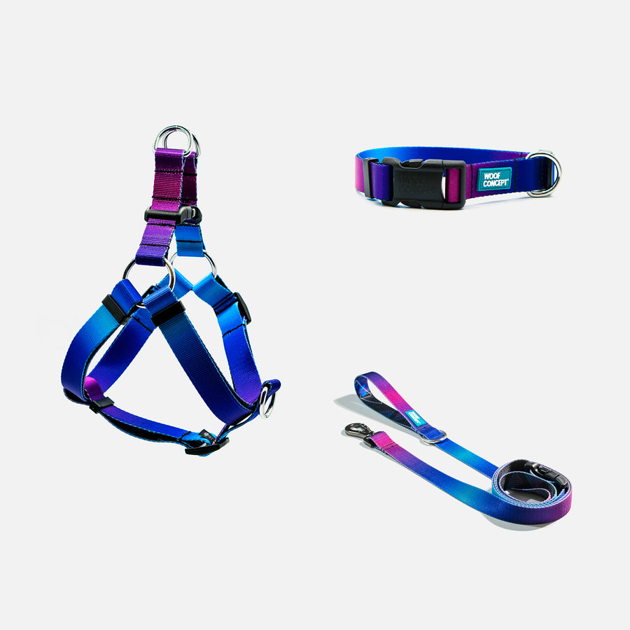 Dog Harness, Collar, Leash