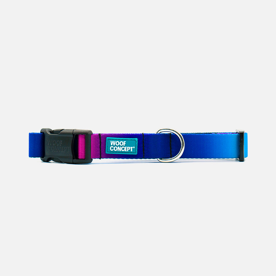 Dog Collar Purple